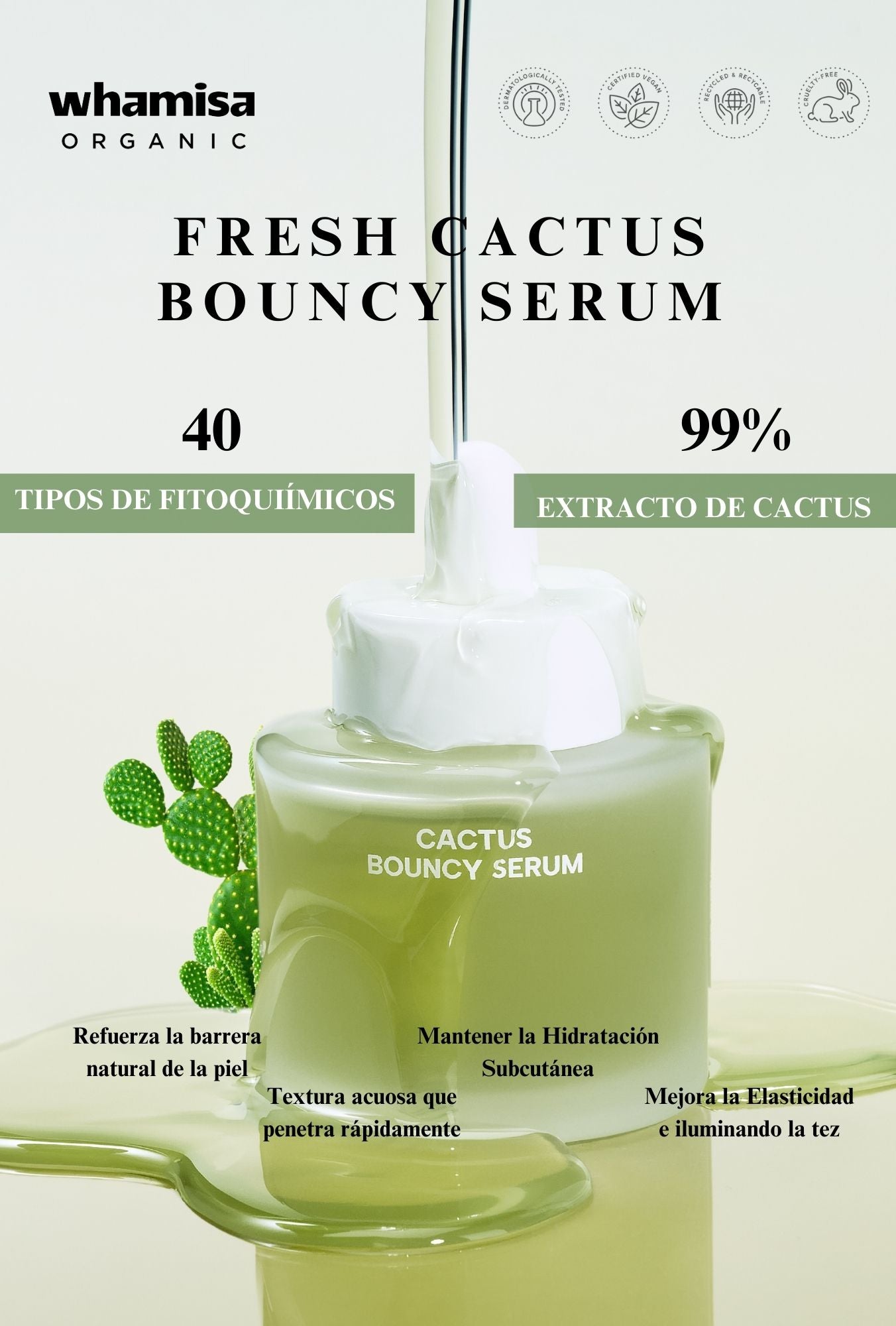 Fresh Cactus Bouncy Serum – Maymoo