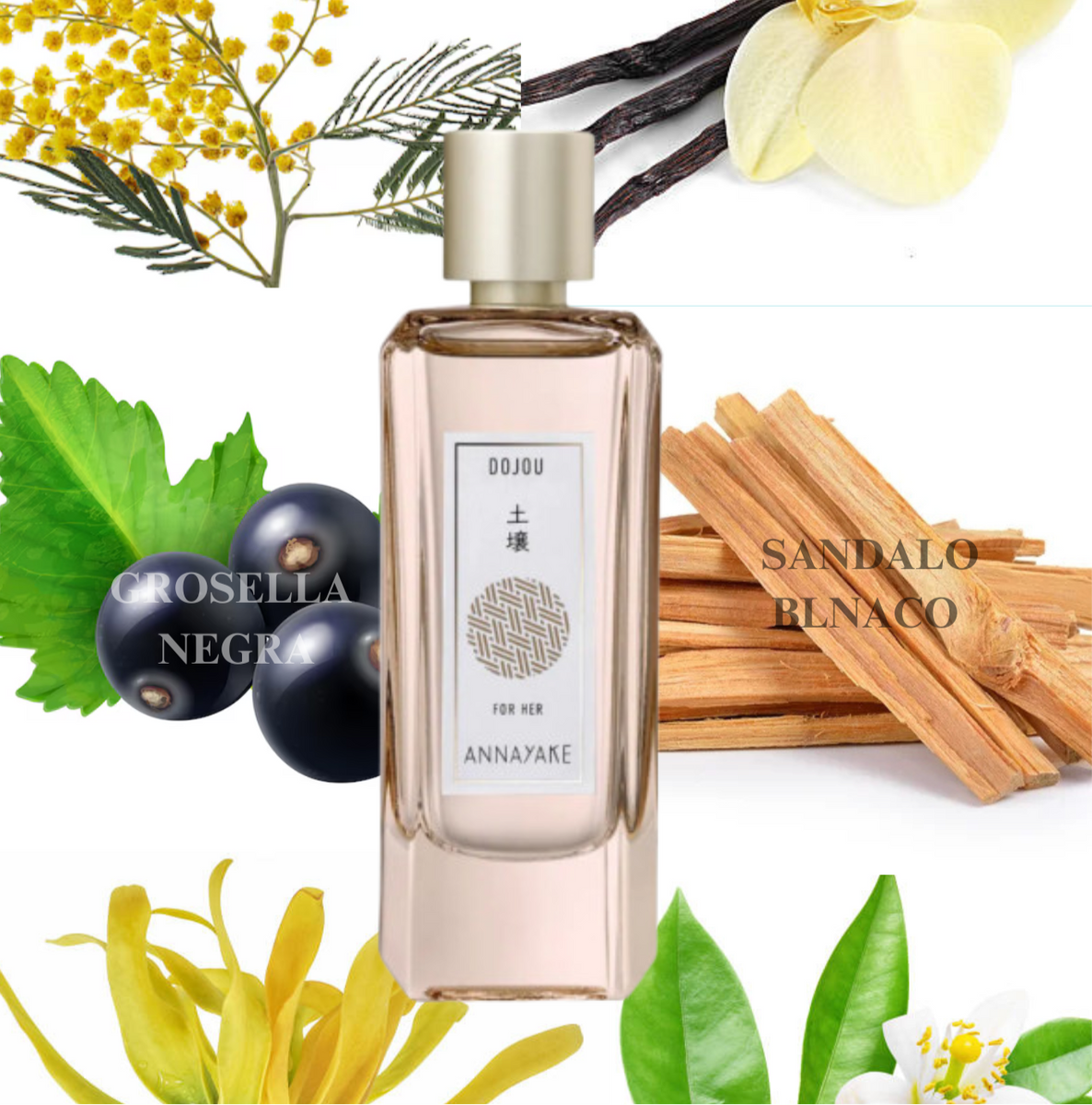 Dojou Annayake Perfume ANNAYAKE Eau De Parfum Dojou Pour Elle